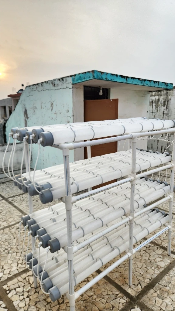 Compact GrowNesso hydroponic system installed on a residential terrace